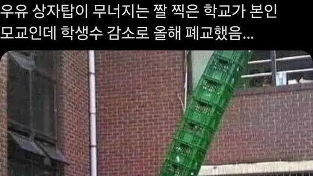 우유박스 무너지는 짤 근황,,