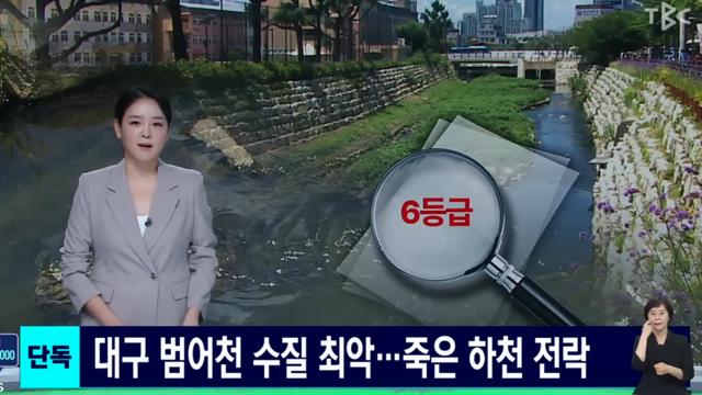 ‘대구 청계천’ 범어천, 죽은 하천으로 전락
