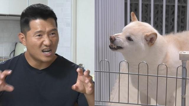 강형욱, 보호자 공격하는 시바견 앞 솔루션 긴급 수정 (개늑시)