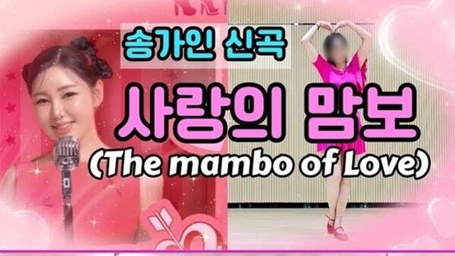 송가인표 어깨춤 돌풍...'사랑의 맘보’ 전국 강타