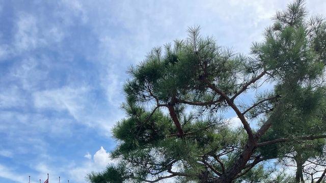 우희준, 청량한 블랙&데님 스타일로 근황 전해