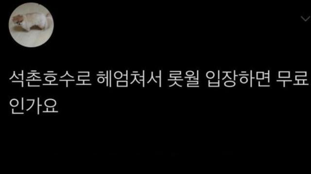롯데월드 무료 입장.