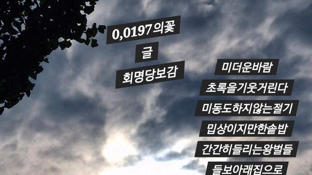 [보감과의 동행120]  0.0197의꽃