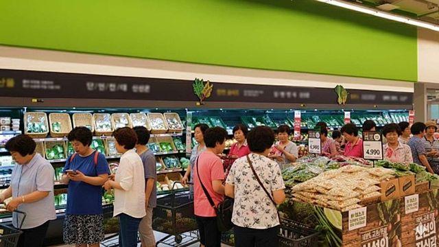 오픈런 시작될 듯…9월이 딱 제철인데 가격 10% 급락한 '한국 식재료'