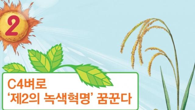 인류의 생존이 달린 프로젝트. C4슈퍼벼(쌀)