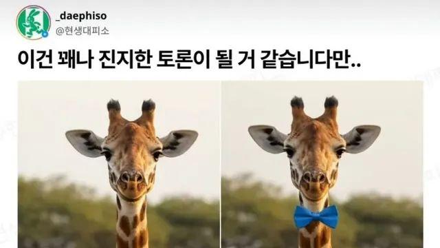 기린이 나비 넥타이를 하게 된다면?,,
