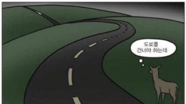고라니가 미친ㅅㄲ들인 이유