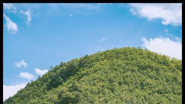 오늘 [사진]들