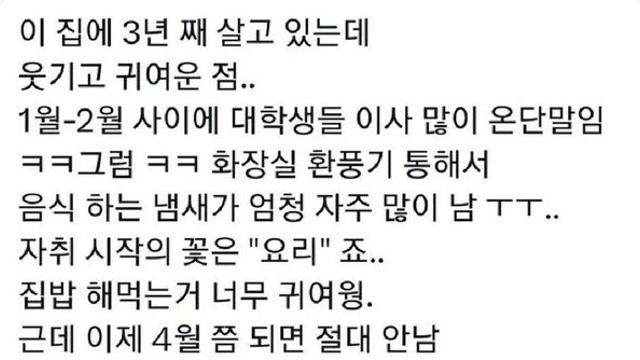 3년째 대학가에 살고 있는 사람이 느낀 귀여운 점