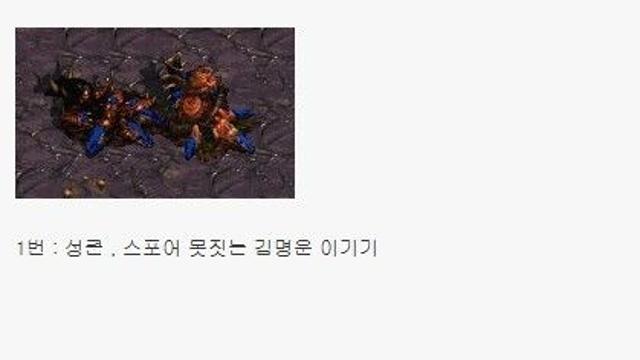 스타1 전프로 상대로 이 핸디캡이면 가장 할만한 매치업은?