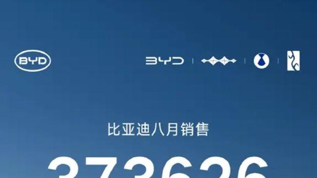 중국 BYD가 언제 현대차를 앞질렀어? 8월까지 13만대 더 팔아