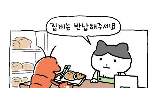 인생에서 빵을 두번밖에 못 삼,,