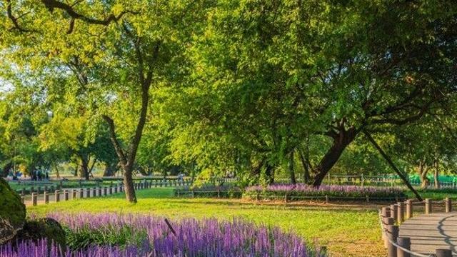 성주 가볼 만한 곳, 전통과 현대가 공존하는 탐방