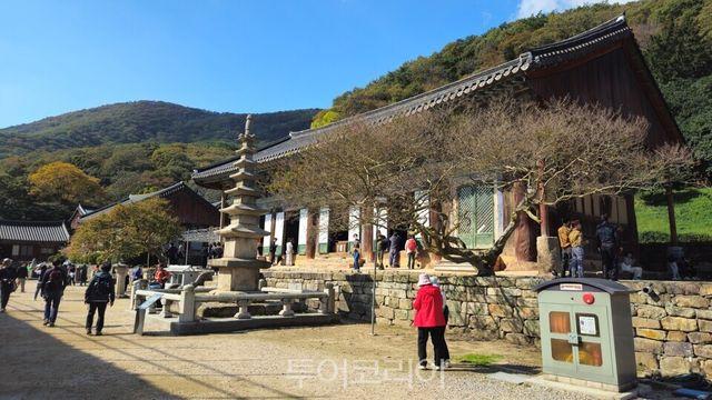 고창 가볼 만한 곳, 고즈넉한 풍경 속 치유의 시간