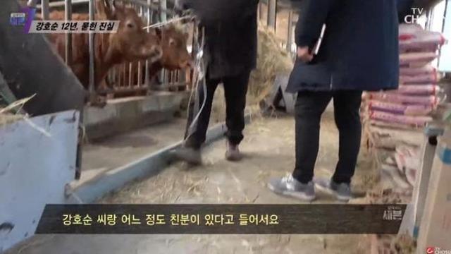 개농장하는 동생이 개를 너무 잔인하게 도살한다
