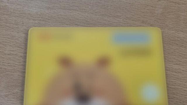 “배송 중 카드 확인하세요”···보이스피싱 막는 ‘내 카드 한눈에’ 개편