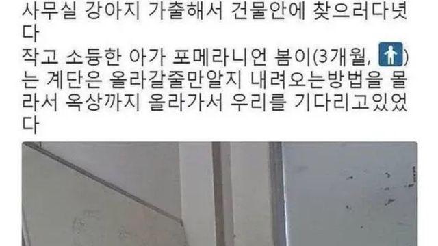 강아지가 가출했다.jpg