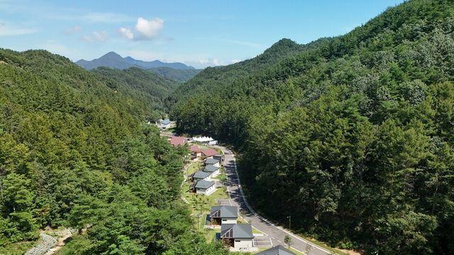 산림청, 중부권 거점 '국립금산자연휴양림'  문 열어 