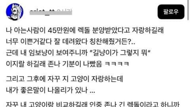 ㅅㄹㄷ) 품종묘 입양한 친구랑 기싸움하는 여자