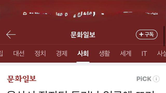 오늘자 살인미수 한녀 여성시대 반응 