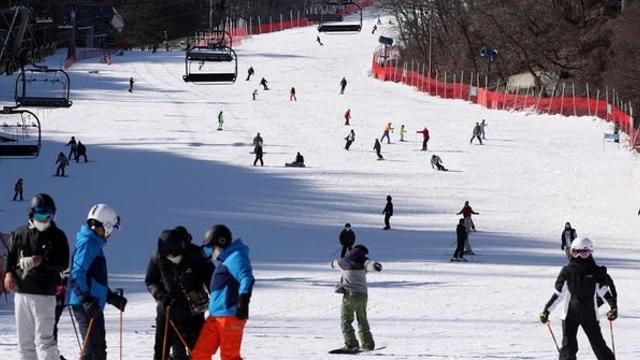 한 장이면 끝... 국내 5대 스키장 무제한 즐기는 '역대급' 패스
