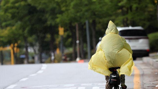 대전·세종·충남 흐리고 오후까지 일부 비…낮 최고 28∼31도