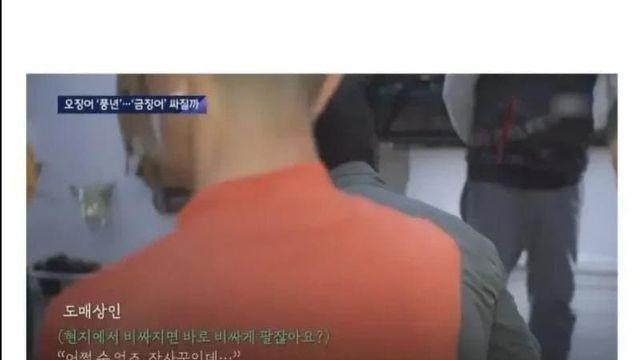 오징어 풍년인데 비싼 이유