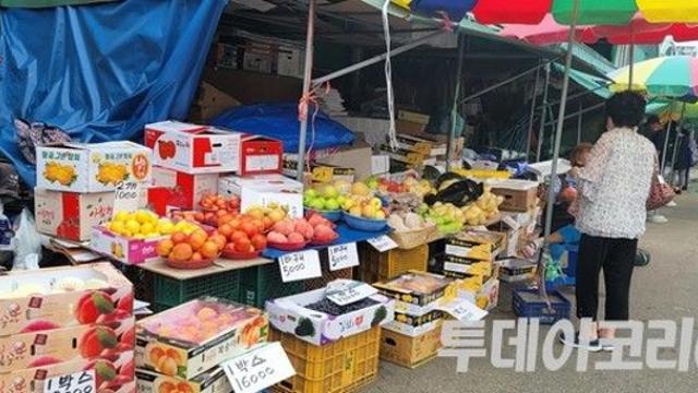 [이슈PICK+] 경남 과수농가, 잇단 재해에도 추석 성수품 공급 차질 없을 것으로 전망