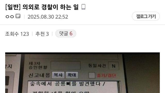 의외로 경찰이 하는일 ㄷㄷㄷㄷ.jpgp