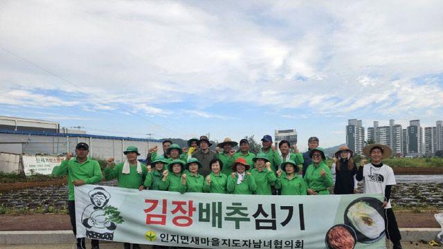 서산시 인지면, '사랑의 김장 배추 심기' 행사 개최