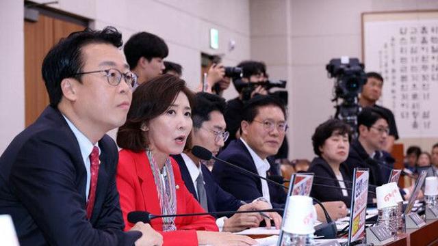 국힘, '더 센 특검법' 법사위 통과에 