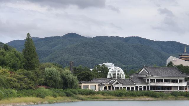 APEC 행사장 경주 보문관광단지, 경관 정비 막바지 공사 '피치'