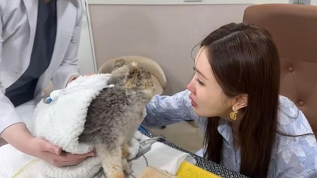 '세븐♥' 이다해, 눈물로 작별 인사…