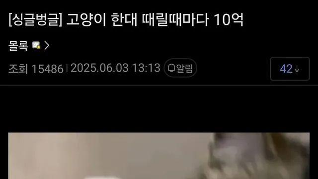 고양이 한대 때릴때마다 10억,,