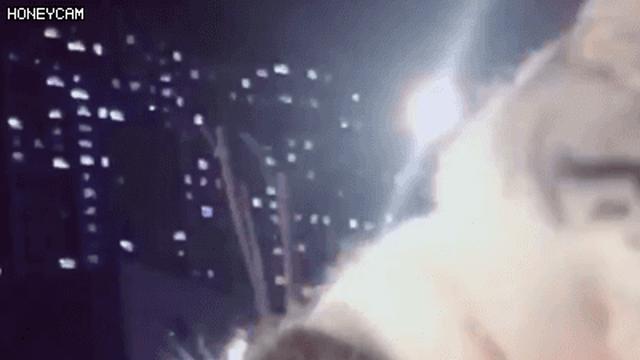 세상 세침한 반려묘.