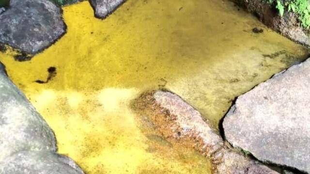 샘물이 황금빛으로 변했다… 21년 만에 나타난 신기한 현상에 관광객 방문 폭발한 '이곳'