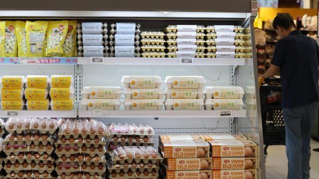 高温持续致鸡蛋价格暴涨 韩国民众”菜篮子”负担加重