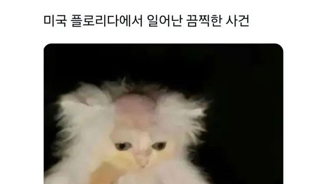미국 플로리다에서 일어난 끔찍한 사건,,