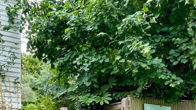 [강백향의 문화산책78]  버지니아 울프의 집 Monk’s House