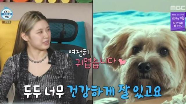 ‘나혼산’ 리정, 에어컨 누수 사태 후일담 “집주인이 고쳐줬다”