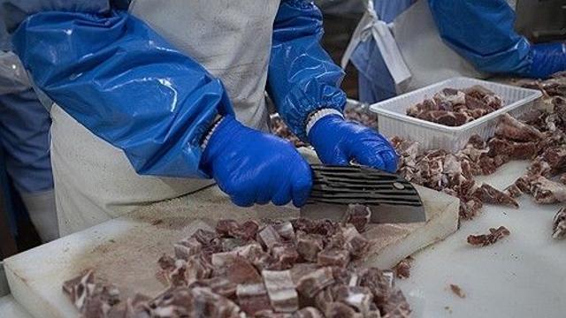 中, EU산 돼지고기 임시 반덤핑 조치…최대 62.4% 관세율