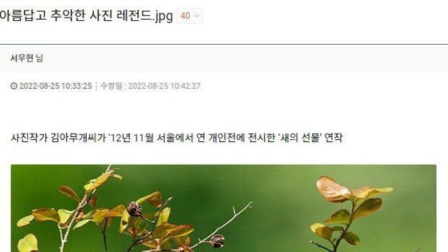 어떤작가가 찍은  추악한 사진 레전드