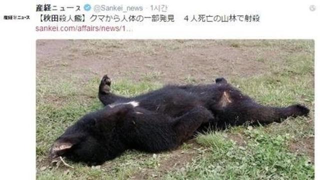 일본에서 사람 공격한 반달곰 ㅎㄷㄷ