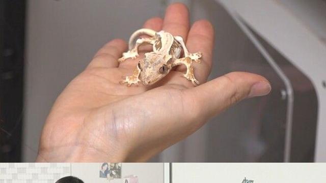 세련된 이미지? 배우 한지은의 실체 ('전참시')