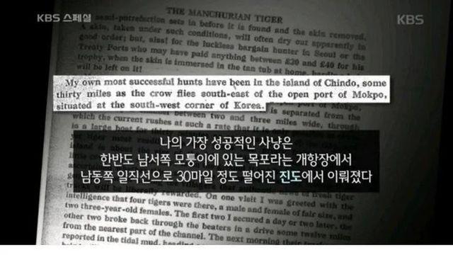 의외로 호랑이가 자주 출몰했던 한반도 지역