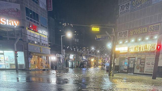 올 가장 강한 비, 군산 시간당 152㎜ 폭우…전북 침수피해 30건(종합)