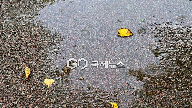[오늘날씨] ‘백로’ 수도권·경상 등 30~80㎜ 강수…서울 낮 30도·부산 31도