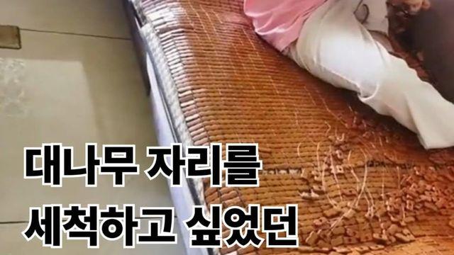 대나무자리를 세척하는 소름돋는 광기