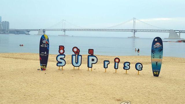 ‘해변에서 만나는 책’ 18∼23일 광안리해변도서전