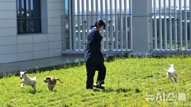 5마리 예비 반려견과 떠나요…농식품부, 유기동물 입양 활성화 '댕댕여행'
